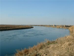 Река у города Абу-Камаль, Сирия