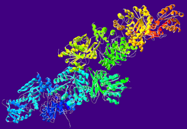 Структура ацетальдегид дегидрогеназы из Pseudomonas sp.[1]