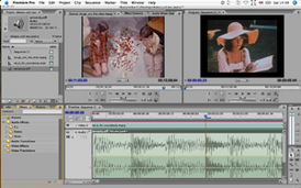 Скриншот программы Adobe Premiere Pro