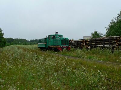 ТУ4-1800 прибывает с пассажирским поездом на станцию Угольная