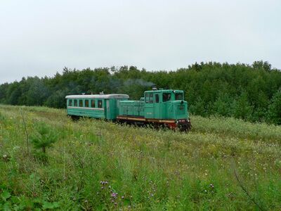 ТУ4-1800 с пассажирским поездом на перегоне Угольная — Ельничная