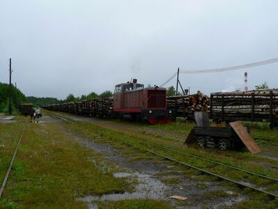 ТУ7-1915 прибывает с грузовым поездом на станцию Угольная