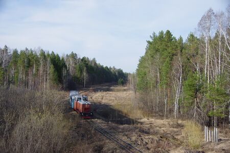 ТУ8-0010 с туристическим поездом на перегоне Красная-II — Синячиха
