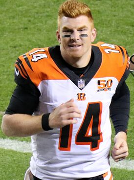 Andy Dalton, 2017