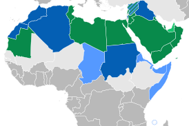           Единственный официальный язык (зелёный)      Один из официальных языков при большинстве арабоязычного населения (синий)      Один из официальных языков при значительном арабоязычном меньшинстве, по историческим или культурным причинам (голубой)