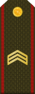 Armenia-Army-OR-5.svg