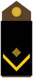 Army-HRV-OR-04.svg