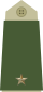 Army-NOR-OF-01b.svg