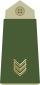Army-NOR-OR-05.svg