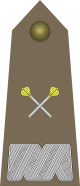 Army-POL-OF-10.svg