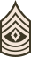 Army-USA-OR-08a (Army greens).svg