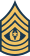 Command Sergeant Major