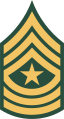 Знак различия, утвержденный для всех сержант-майоров в 1966–1968 годах[6].