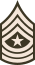 Army-USA-OR-09c (Army greens).svg