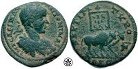 Древнеримская монета с изображением моллюска для крашения (на реверсе справа внизу)