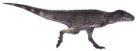 Aucasaurus