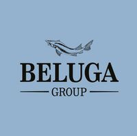 BELUGA GROUP sq.jpg