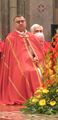 Епископ Варда во время Пятидесятницы всенощной в соборе Лоди, 14 мая 2016