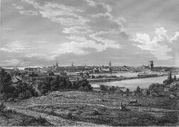 Вид на город с пастбища. Гравюра XIX века