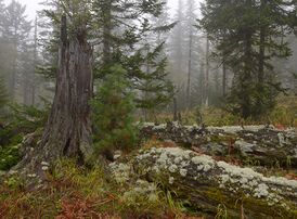 Baikal reservate -2.jpg