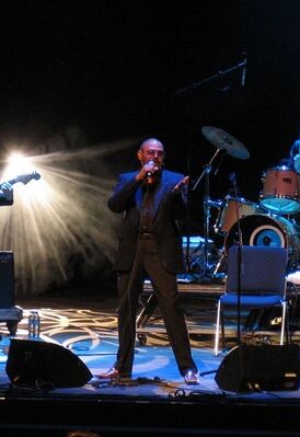 Барри Адамсон на Primavera Sound Festival Барселона, Испания, 1 июня 2007 года.