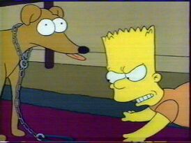Барт отчаянно пытается дрессировать несчастного Маленького помощника Санты