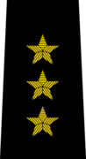 Belarus Police—01 Colonel General rank insignia (Black).png
