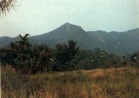 Вулкан Белиранг-Берити (1982 г.). Снимок Вулканологической обсерватории Индонезии[en].