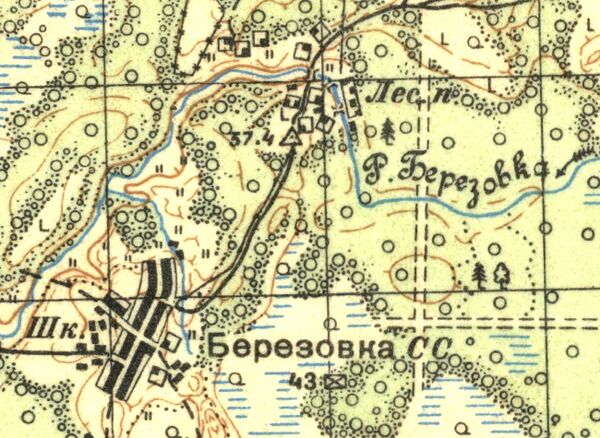 План деревни Берёзовка. 1937 год