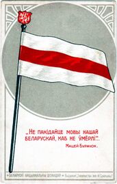 Флаг БНР