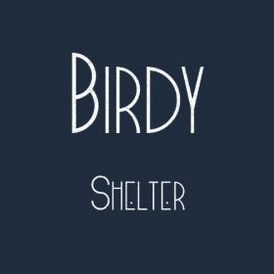 Обложка сингла Birdy «Shelter» (2011)