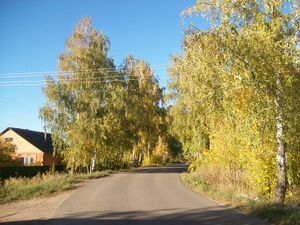 Болохово. Дорога на Новое село