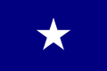 Bonnie Blue Flag