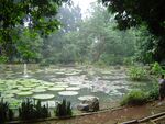 Botanischer Garten in Bogor.jpg