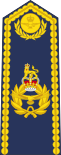 British RAF Air Officer (ceremonial shoulder board).svg