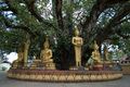 Статуи будд