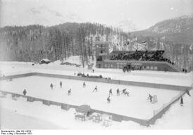 Хоккейный матч в ноябре 1931 года
