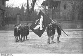 Банн Юнгфолька со своим знаменем.