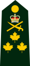 CDN-Army-LGen-Shoulder.svg