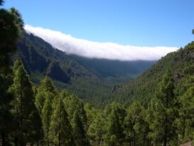 Кальдера Табуриенте (Caldera de Taburiente)