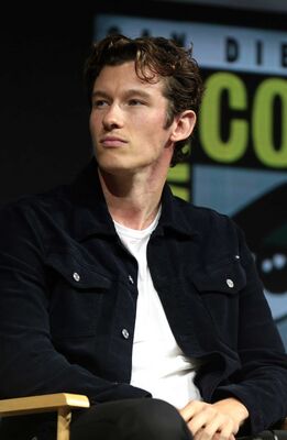 Тёрнер на San Diego Comic-Con в 2018 году