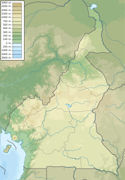 Ньос (Камерун)