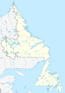 YYT (Ньюфаундленд и Лабрадор)