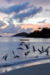 Caneel Bay Sunset at Caneel Beach 2.jpg