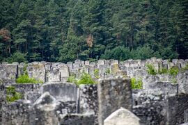 Еврейское кладбище в Бродах