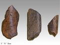 Кости бизонов из Чагырской пещеры, использовавшиеся в качестве ретушёров для каменных орудий