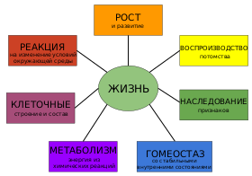 Characteristics of life-ru.svg