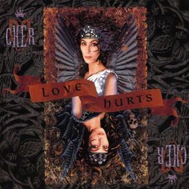Обложка альбома Шер «Love Hurts» (1991)