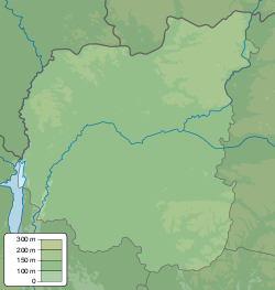 Кривая Речка (рукав Днепра) (Черниговская область)