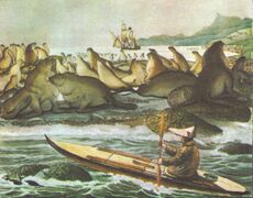 Бриг «Рюрик» бросил якорь вблизи острова святого Павла в Беринговом море , чтобы пополнить запасы для экспедиции на север в Чукотское море.